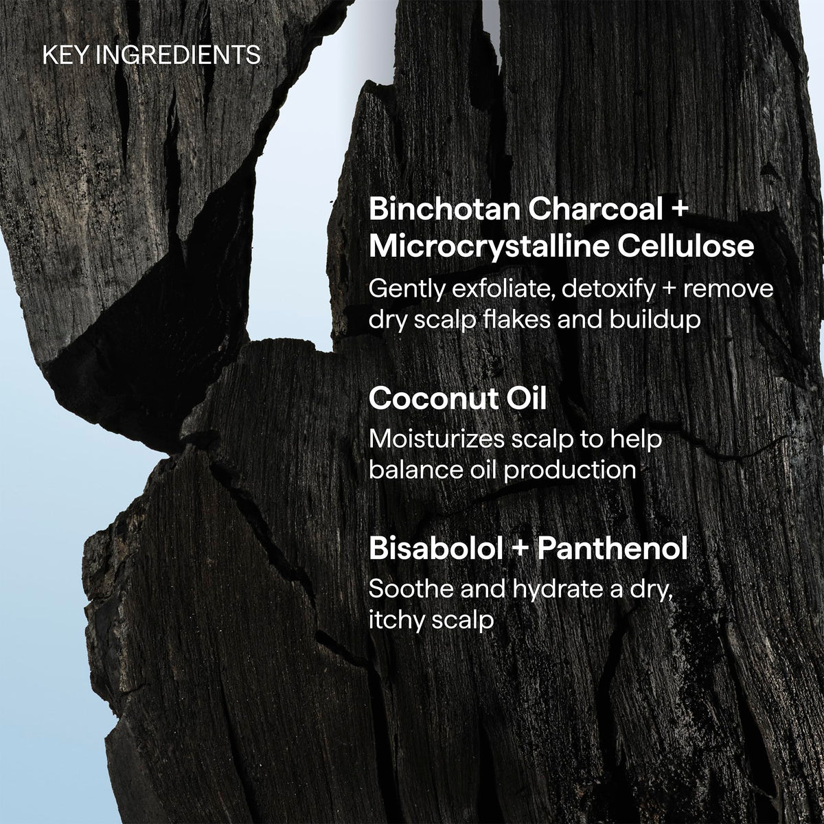 Briogeo Scalp Revival Shampoo packaging on countertop