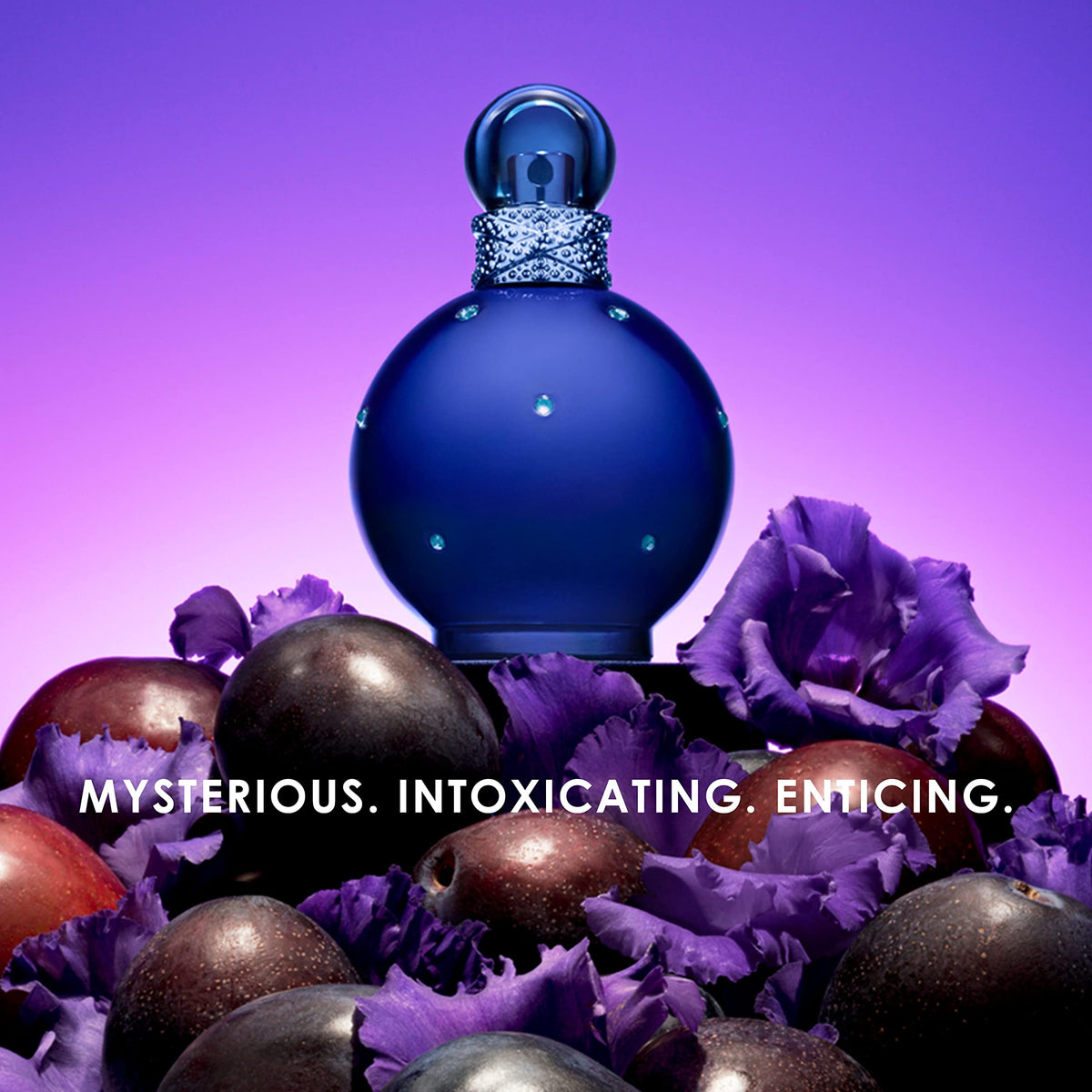 Britney Spears Midnight Fantasy fragrance notes illustration