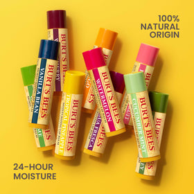 Burt's Bees Beeswax Lip Balm 4-Pack displayed with a natural background
