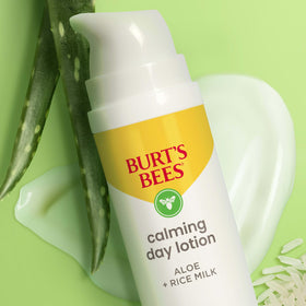 Burt's Bees Calming Day Face Lotion 1.8 oz in a skincare routine