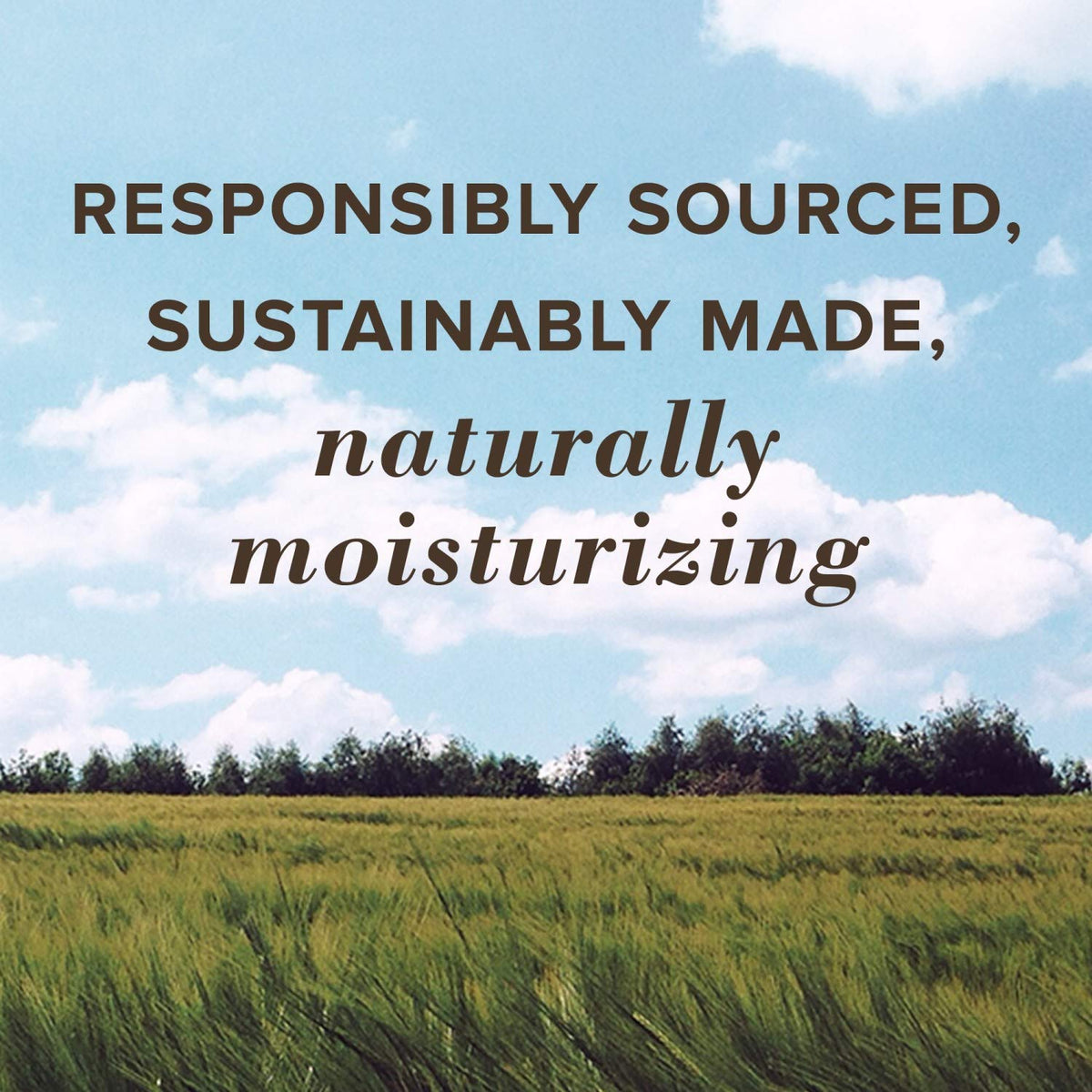 Burt's Bees lip balm with emphasis on natural ingredients