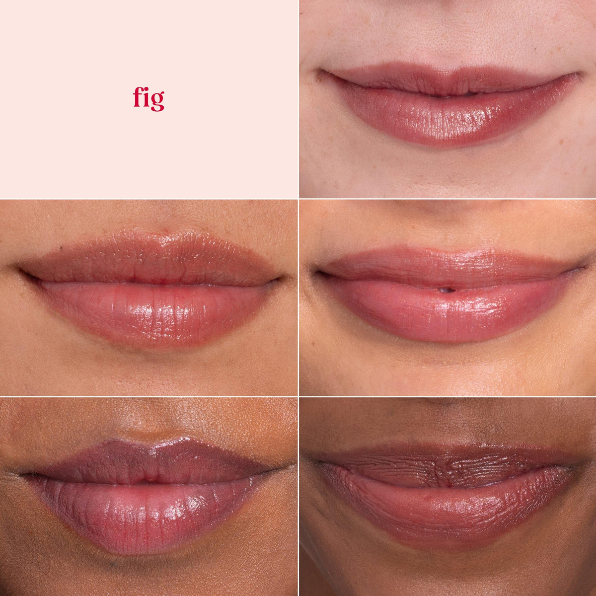 Burt's Bees Lip Shimmer Fig applied on lips