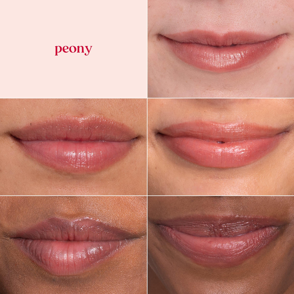 Burt's Bees Lip Shimmer Peony with natural ingredients displayed