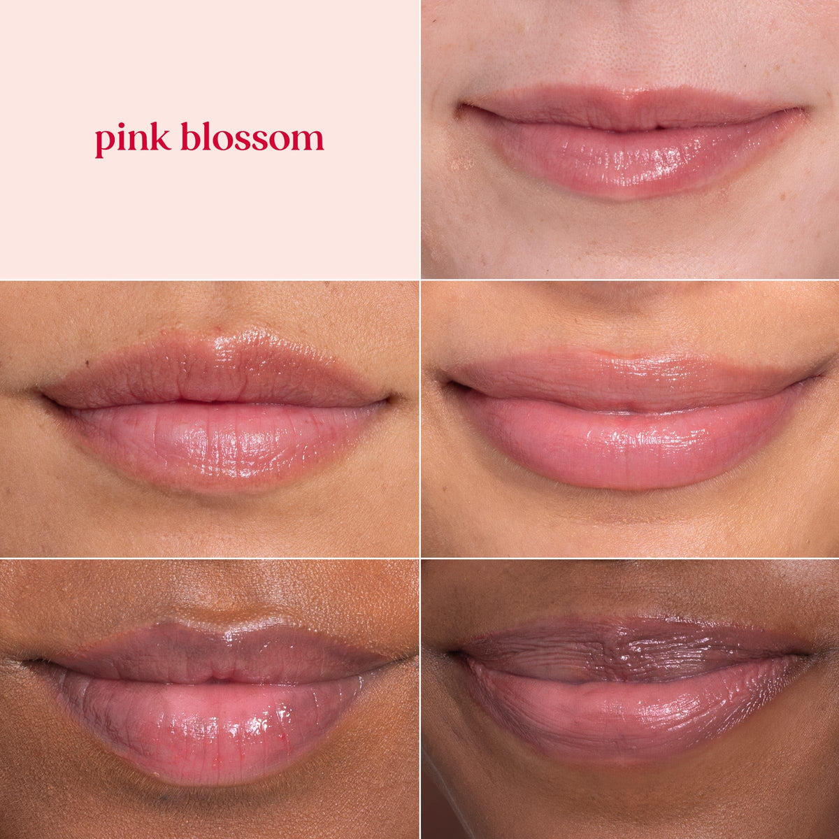 Burt's Bees Lip Tint Balm ingredients list