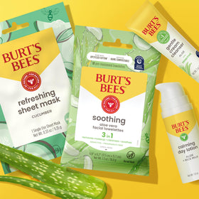 Burt's Bees products arranged for travel