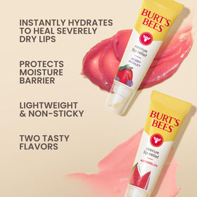 Burt's Bees Rescue Lip Relief Berry Medley tube front view