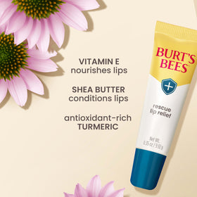 Burt's Bees Rescue Lip Relief Lip Balm in a purse
