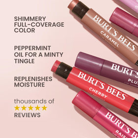 Burt's Bees Shimmer Lip Tint Set packaging with recyclable carton