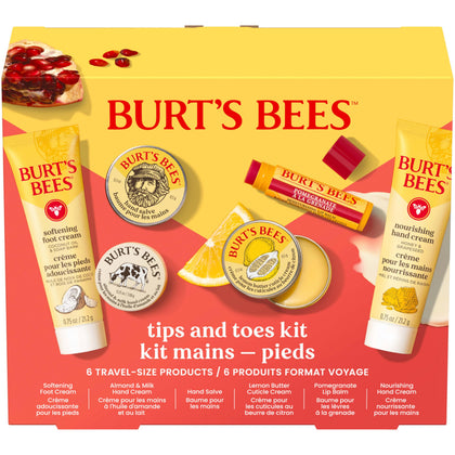 Burt's Bees Tips and Toes Kit gift set with six travel-size products