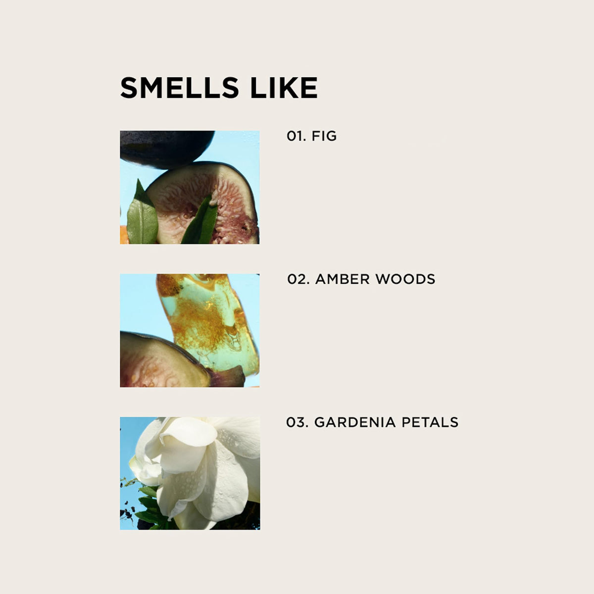 By Rosie Jane Eau De Parfum Spray (James) packaging design