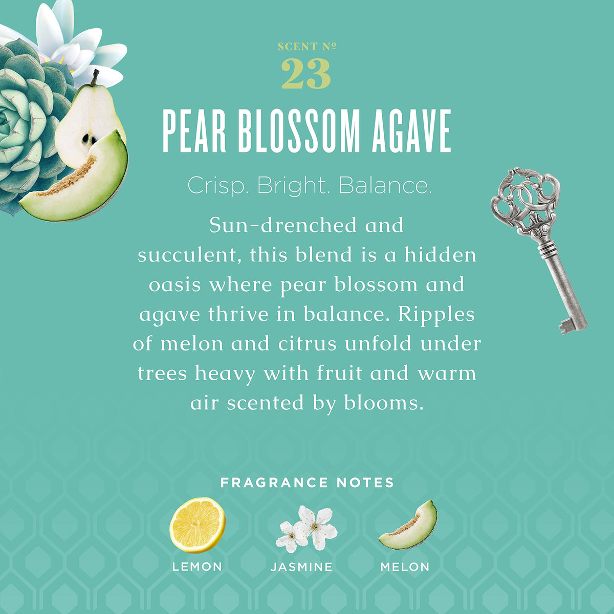 Caldrea Pear Blossom Agave Hand Wash Soap side view
