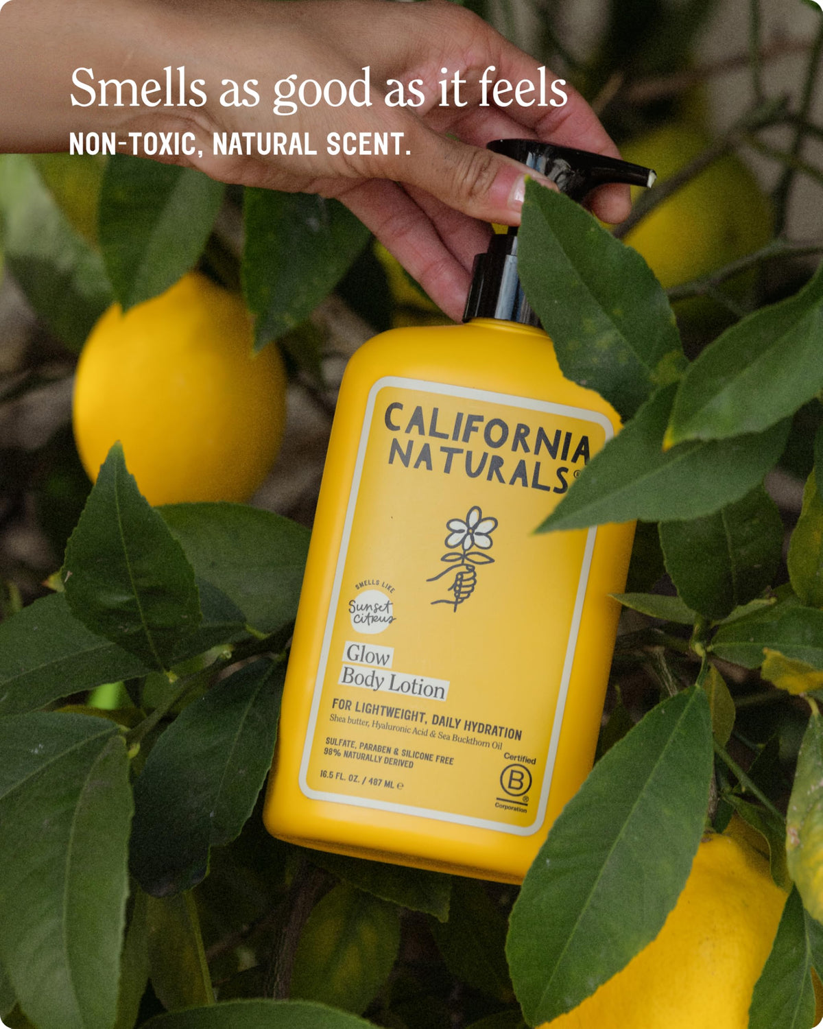 California Naturals Glow Body Lotion 16.5 oz being applied to skin