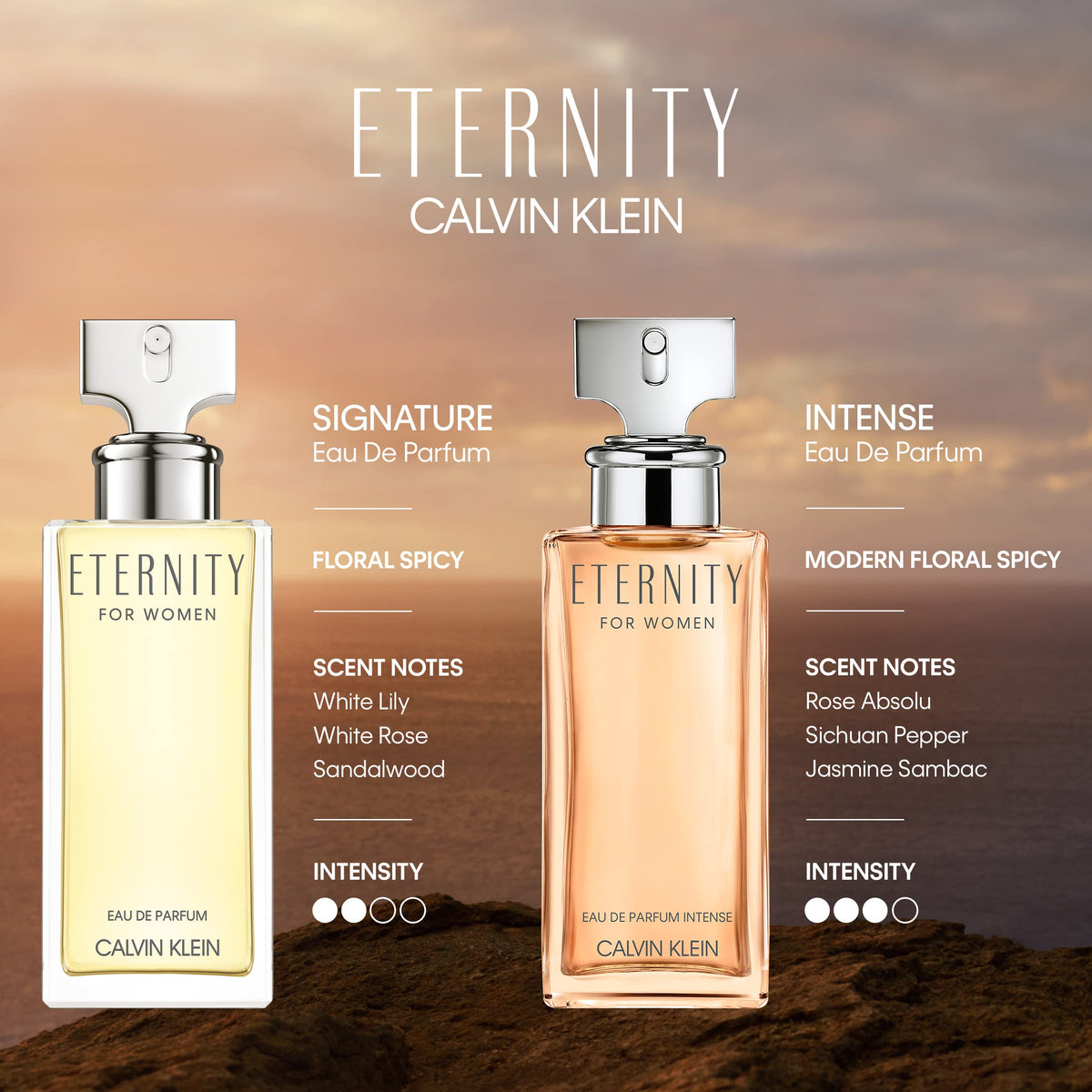 Calvin Klein Eternity Intense Eau de Parfum 3.3 fl oz back view