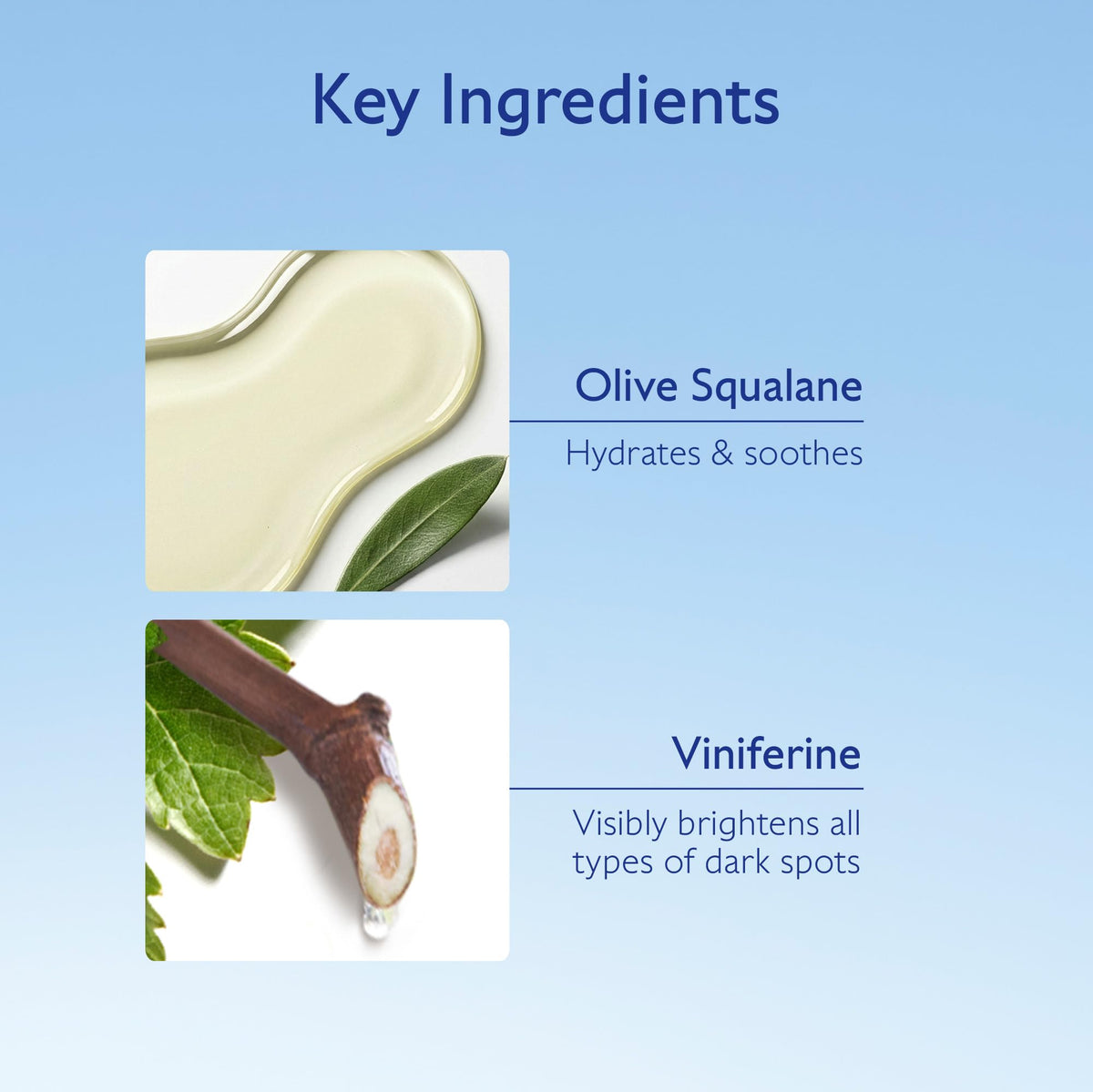 Caudalie Vinoperfect serum with fresh green leaves