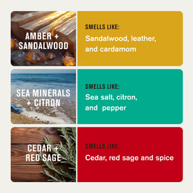 Cedar Red Sage scent stick from Every Man Jack