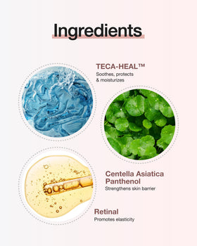 CENTELLIAN 24 Expert Cream 1.69fl oz application on skin
