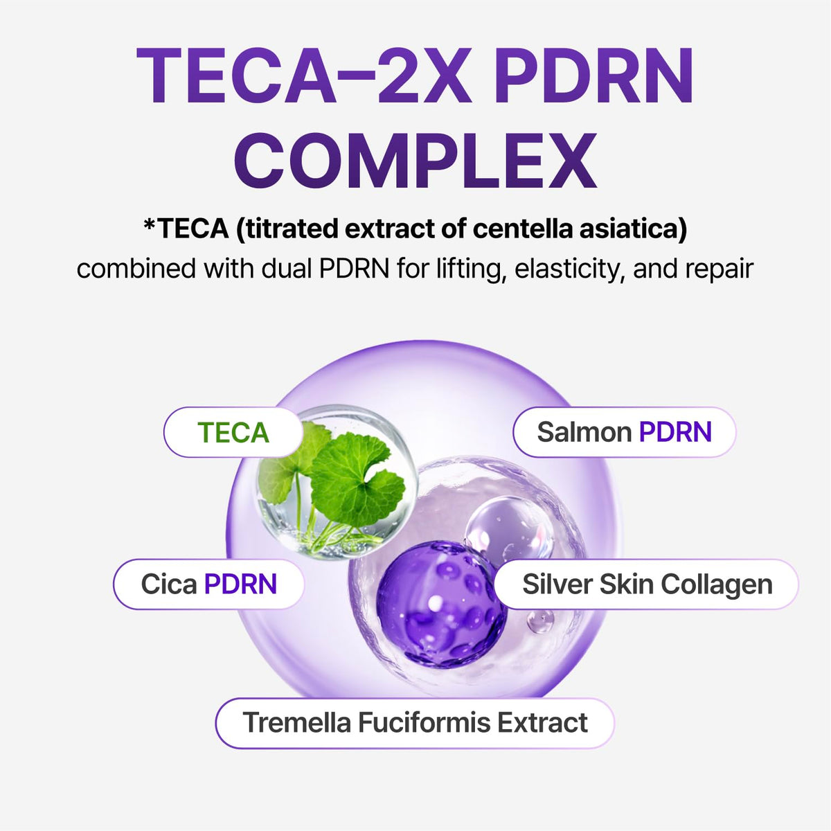 CENTELLIAN 24 PDRN Firming Set ingredients list