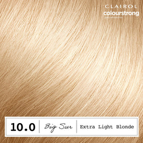 Clairol ColorStrong application kit including Bonding Primer and Colour Cream