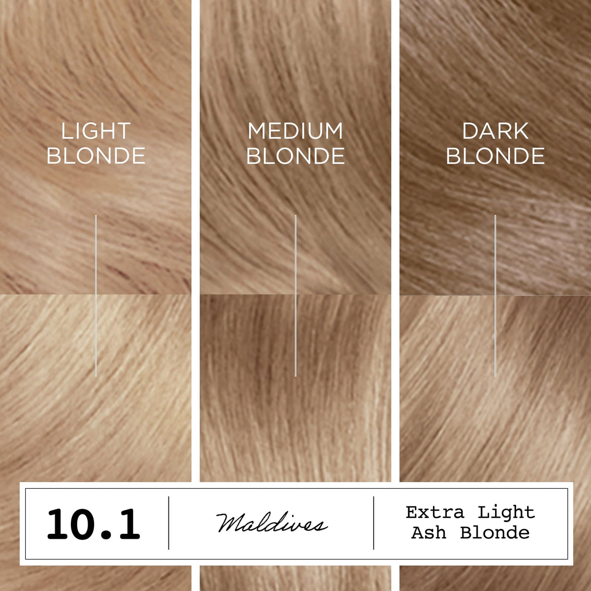 Clairol ColorStrong gloves included in the kit