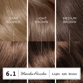 Clairol ColorStrong Hair Dye instruction leaflet