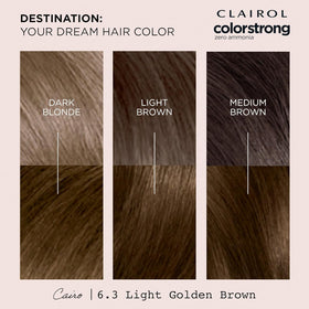 Clairol ColorStrong instruction leaflet for hair dye application