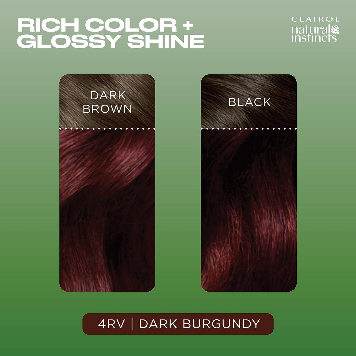 Clairol Natural Instincts 4RV Dark Burgundy activator bottle