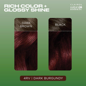 Clairol Natural Instincts 4RV Dark Burgundy activator bottle