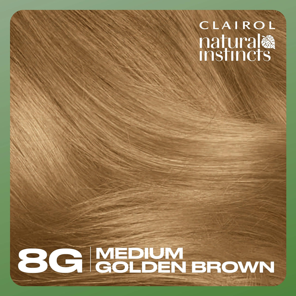 Clairol Natural Instincts 8G Medium Golden Blonde hair colour swatch