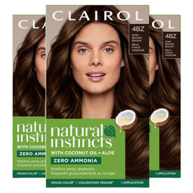 Clairol Natural Instincts Demi-Permanent Hair Dye 4BZ Dark Bronze Brown front view