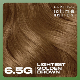 Clairol Natural Instincts hair dye application process