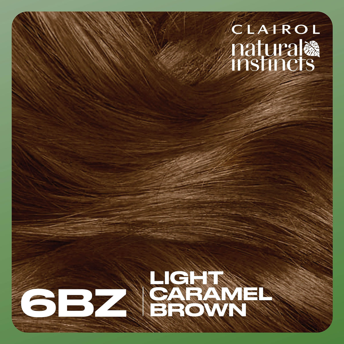 Clairol Natural Instincts hair dye results on model