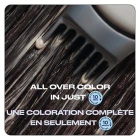 Clairol Nice'N Easy 10 hair dye results on hair
