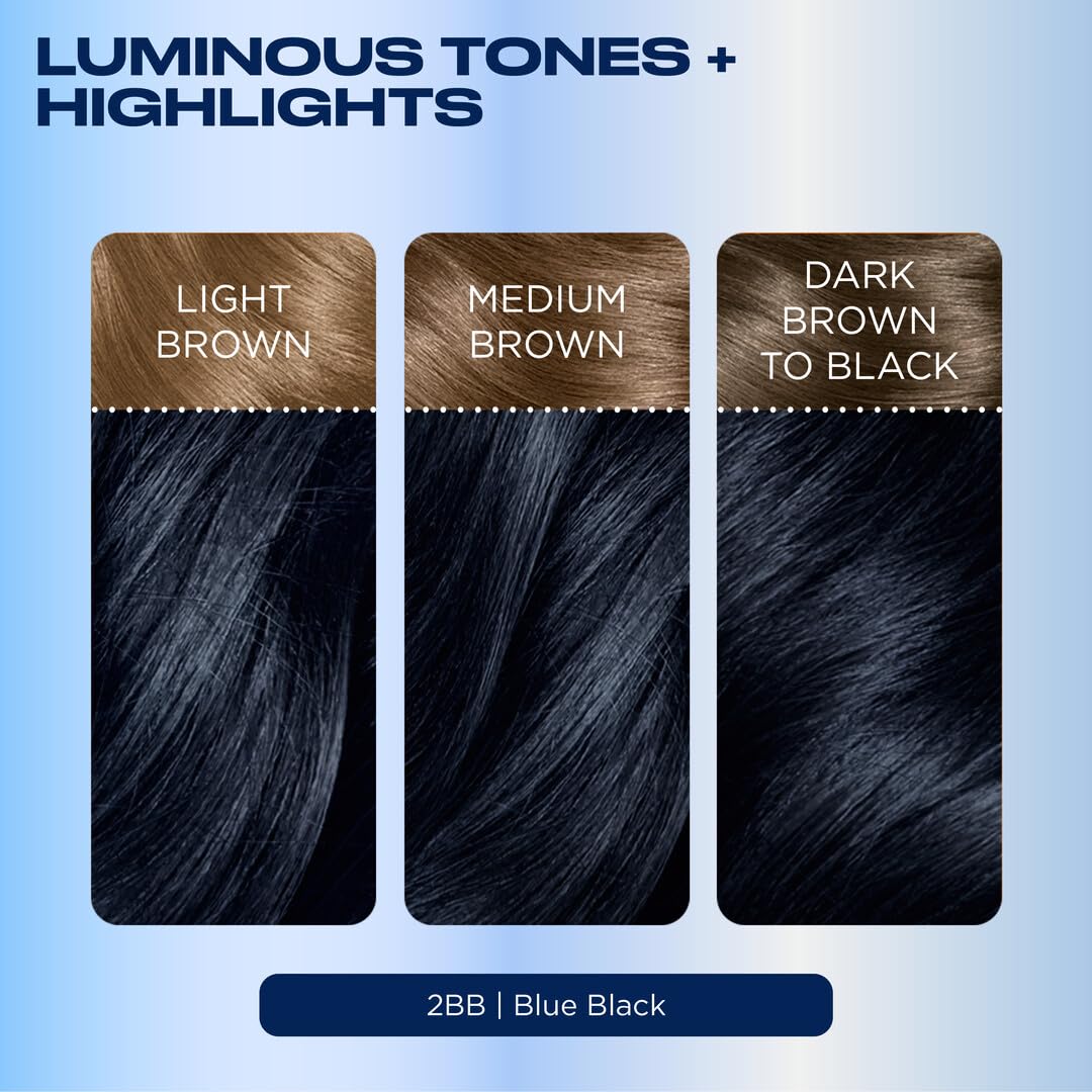 Clairol Nice'n Easy 2BB Blue Black hair dye ingredients list