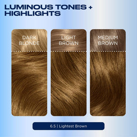 Clairol Nice'n Easy 6.5 Lightest Brown colour swatch