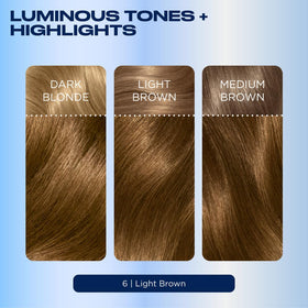 Clairol Nice'n Easy 6 Light Brown hair dye application process