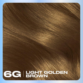 Clairol Nice'n Easy 6G Light Golden Brown hair dye packaging