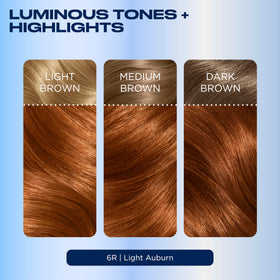 Clairol Nice'n Easy 6R Auburn Hair Dye ingredients list