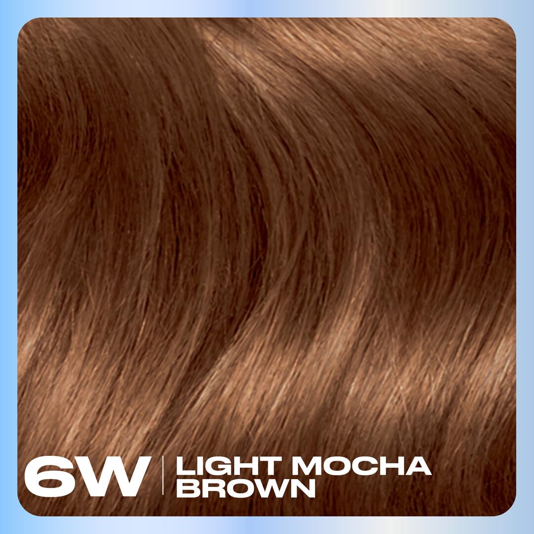 Clairol Nice'n Easy 6W Light Mocha Brown application instructions