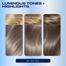 Clairol Nice'n Easy 8S Soft Silver gloves included