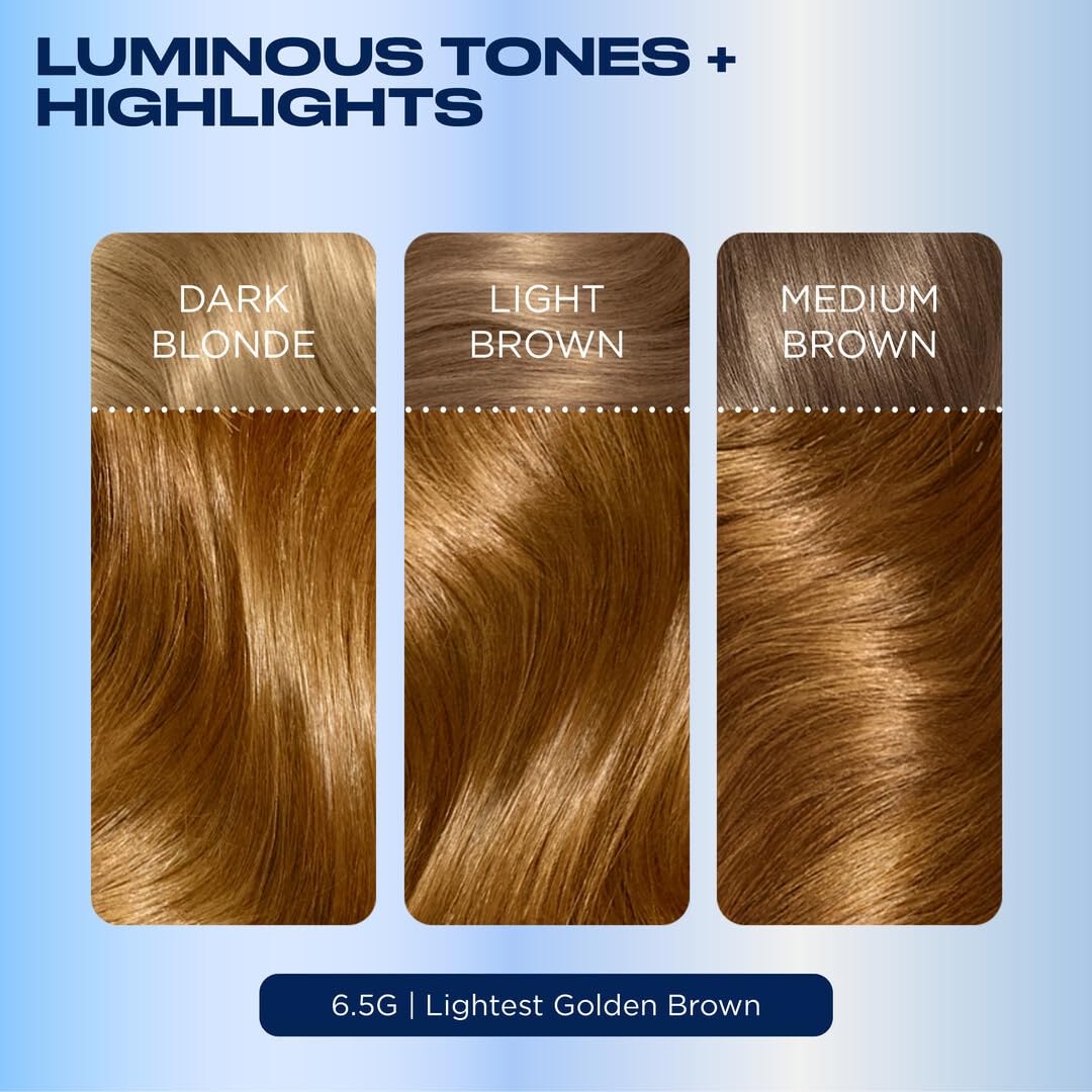 Clairol Nice'n Easy hair dye showing three tones and highlights