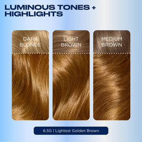 Clairol Nice'n Easy hair dye showing three tones and highlights
