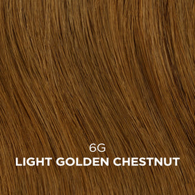 Clairol Professional Advanced Gray Solution application process