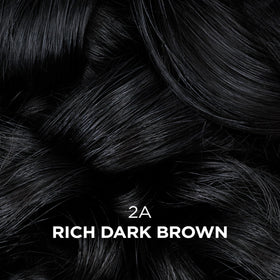 Clairol Professional Beautiful Collection Advanced Gray Solution application process