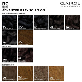 Clairol Professional Beautiful Collection Advanced Gray Solution with hairbrush