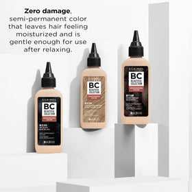 Clairol Professional Beautiful Collection hair care routine