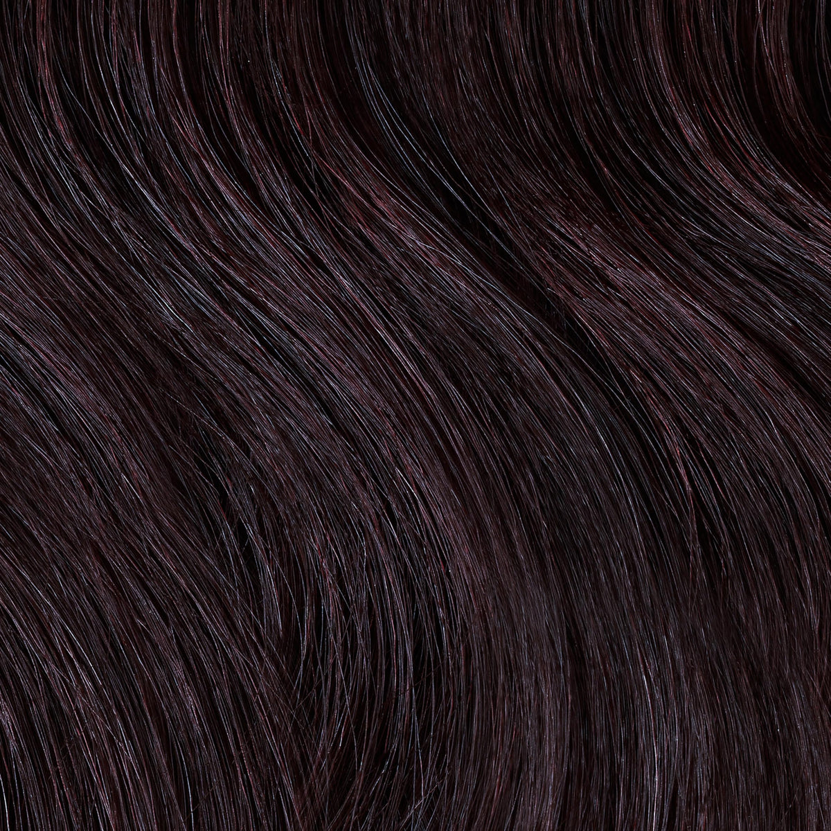 Clairol Professional hair color application scene