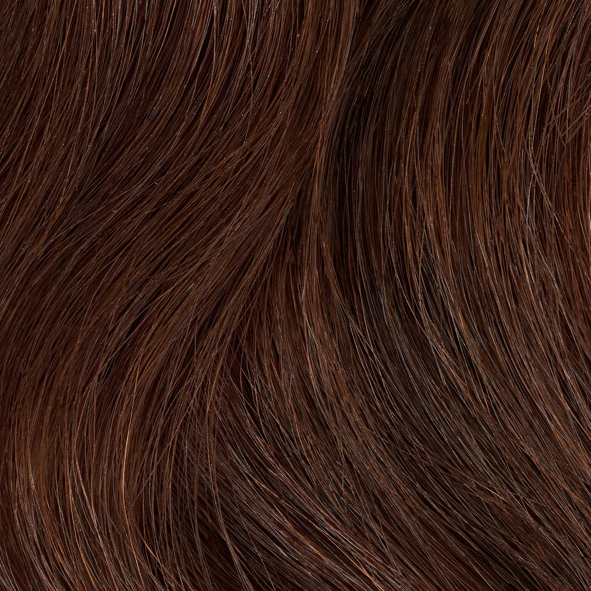 Clairol Professional hair color application scene