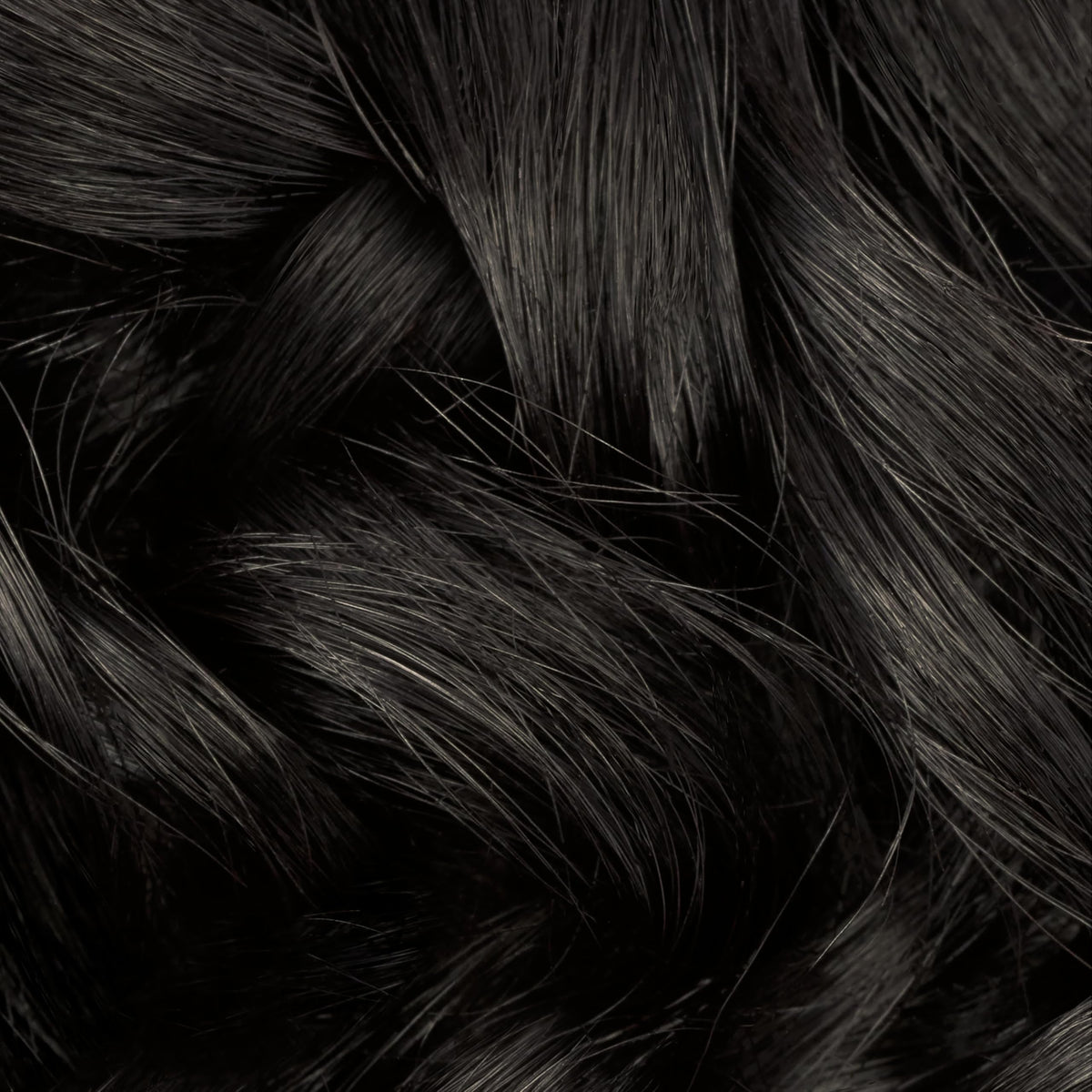 Clairol Professional hair color cream application process