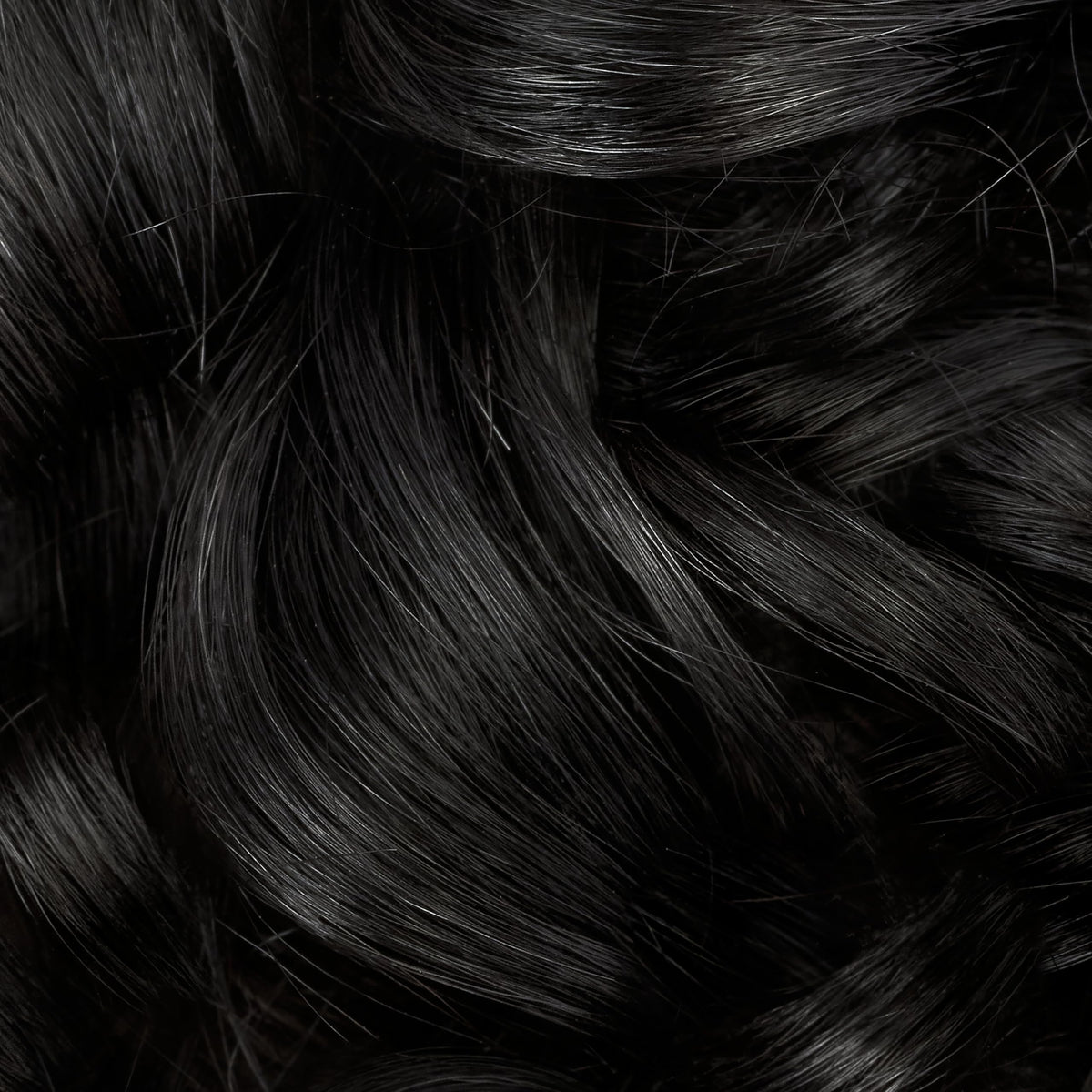 Clairol Professional hair colour application process