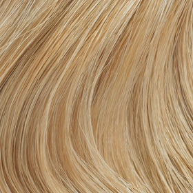 Clairol Professional hair colour application process